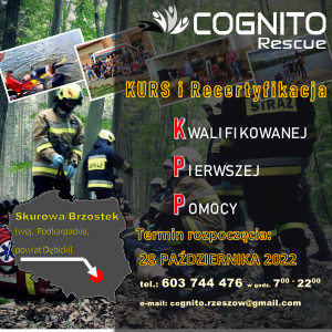 Kurs KPP Skurowa Brzostek (woj. podkarpackie, pow. dębicki) - 28 PAŹDZIERNIKA 2022